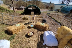IMG_20250322_113952